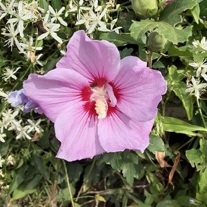 Meet your Posher, Carolyn